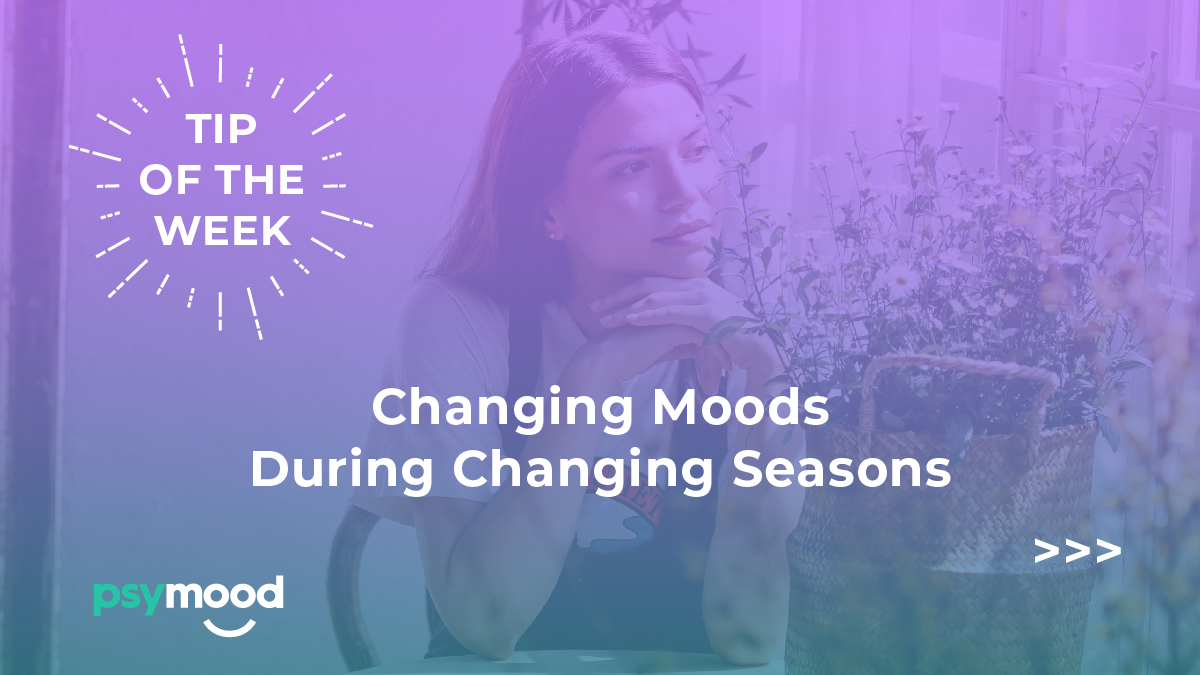 Changing Moods during Changing Seasons banner