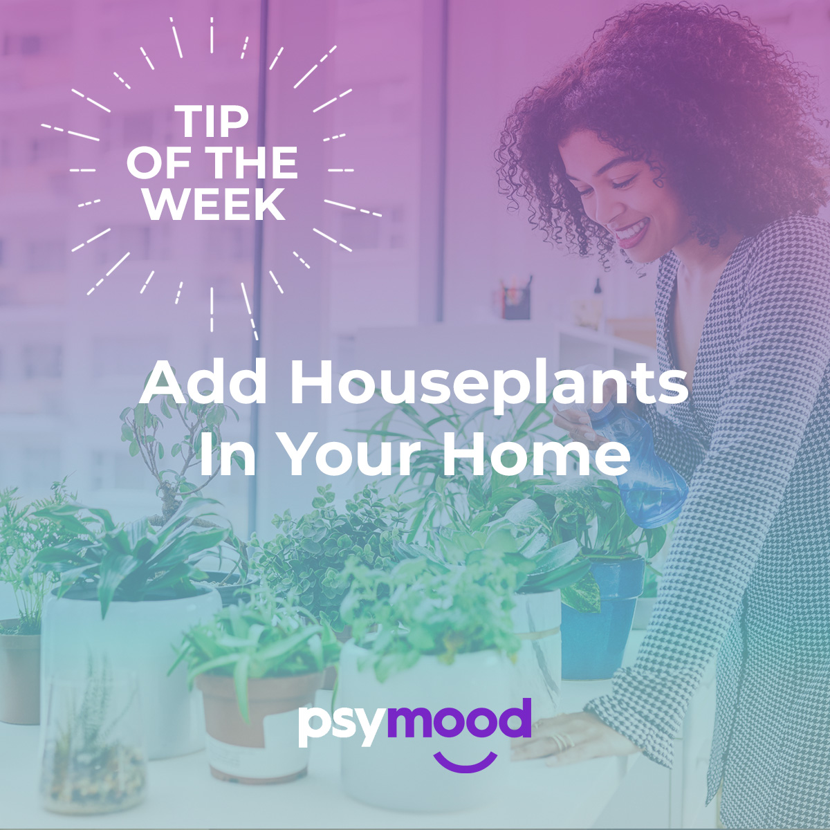 Add Houseplants in Your Home square
