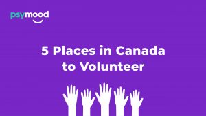 5 Places in Canada to Volunteer banner